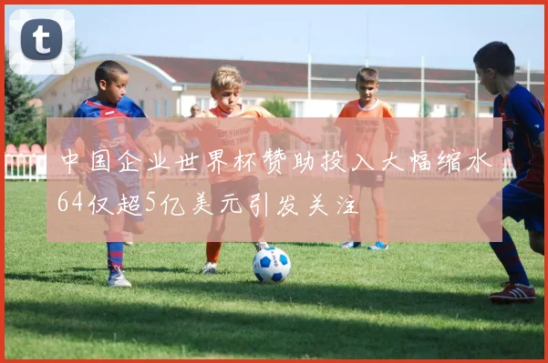 中国企业世界杯赞助投入大幅缩水64仅超5亿美元引发关注